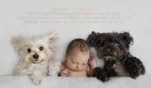Newborn with puppies Photographers Little Cherub Photography Darwin