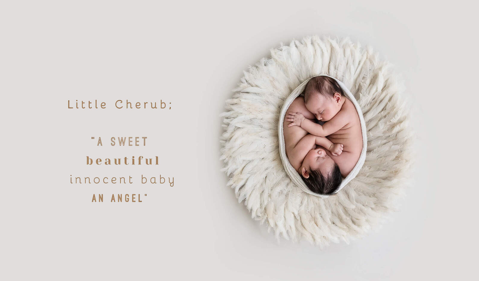 Darwin Newborn Photographers Little Cherub Photography