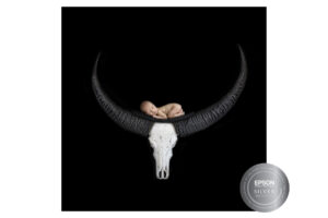 Multi-Award Winning Photographer Newborn Baby Family